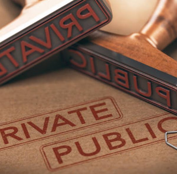 Private-and-Public-Sector-Institutions